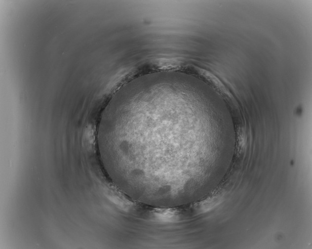 X0000093730667200710231153