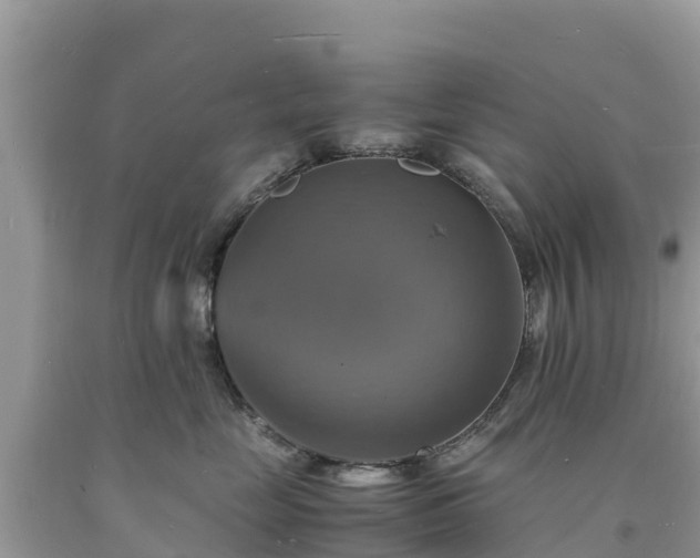 X0000093730669200710231153