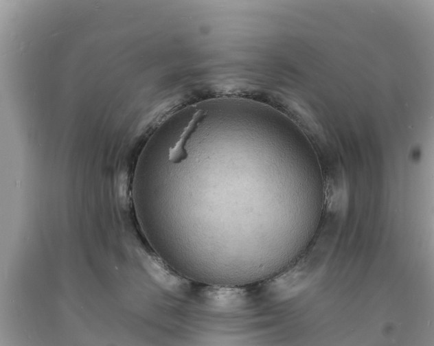 X0000093730670200710231153