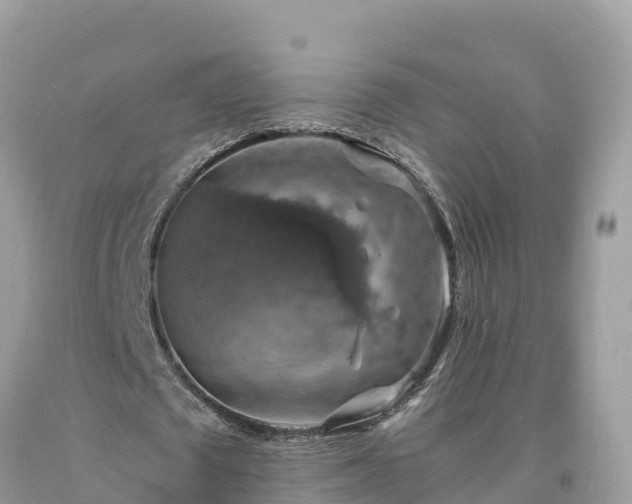 X0000093730673200710231152