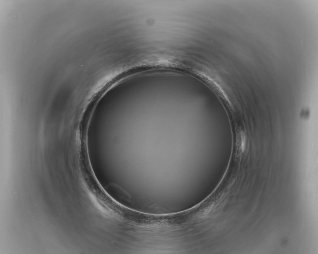 X0000093730674200710231152