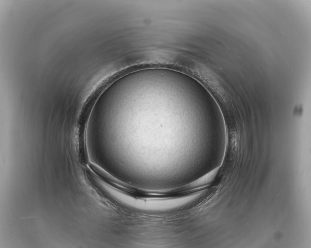 X0000093730676200710231152