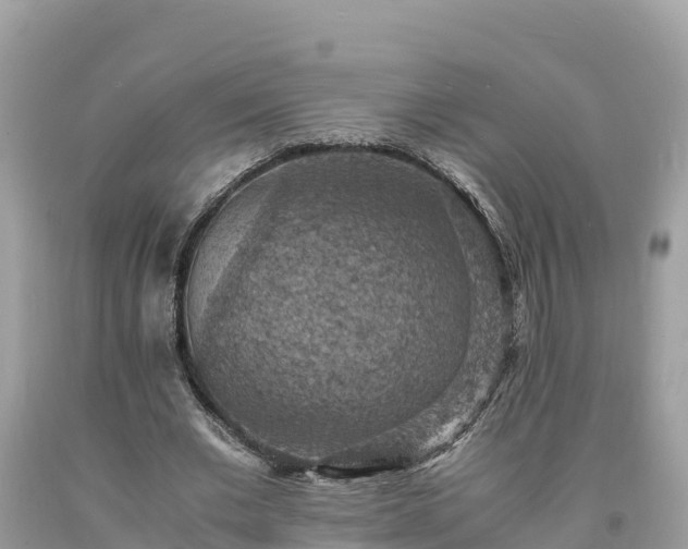 X0000093730677200710231152