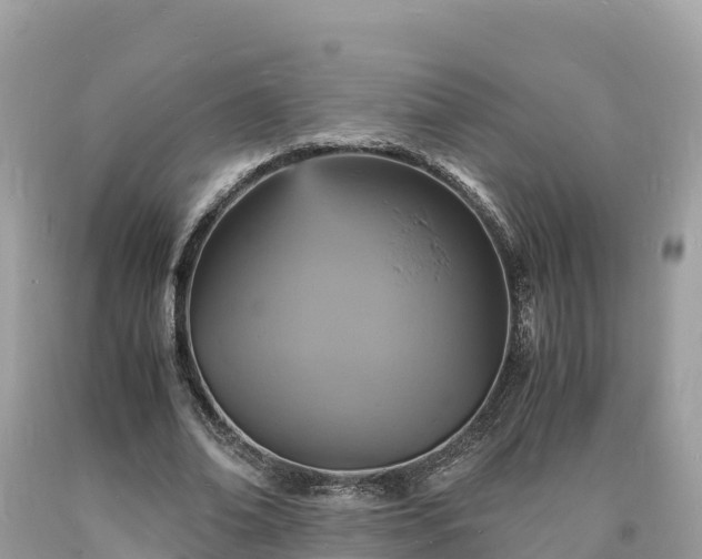 X0000093730678200710231152