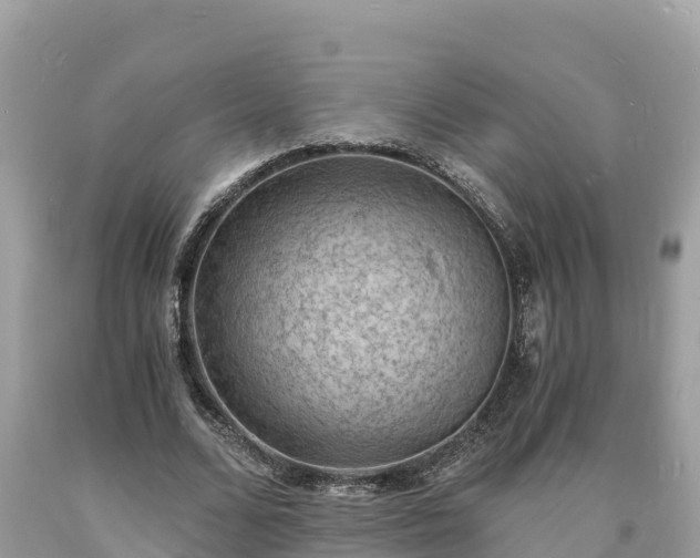 X0000093730680200710231152