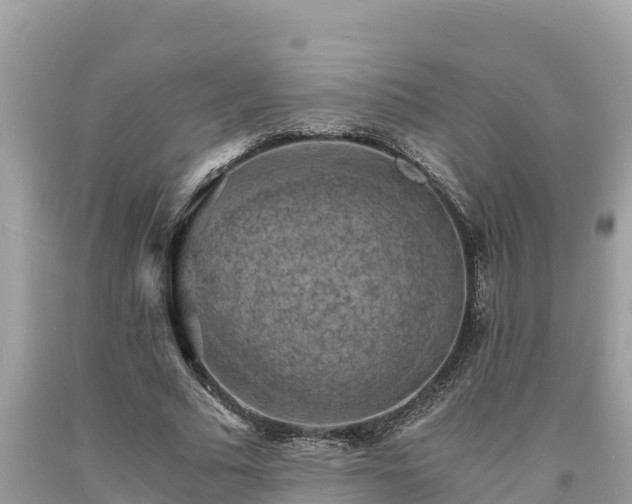 X0000093730681200710231152