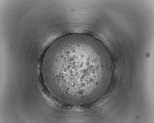 X0000093730683200710231152