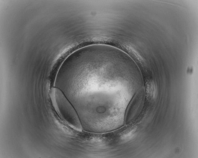 X0000093730684200710231152
