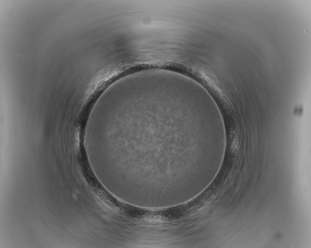 X0000093730685200710231152