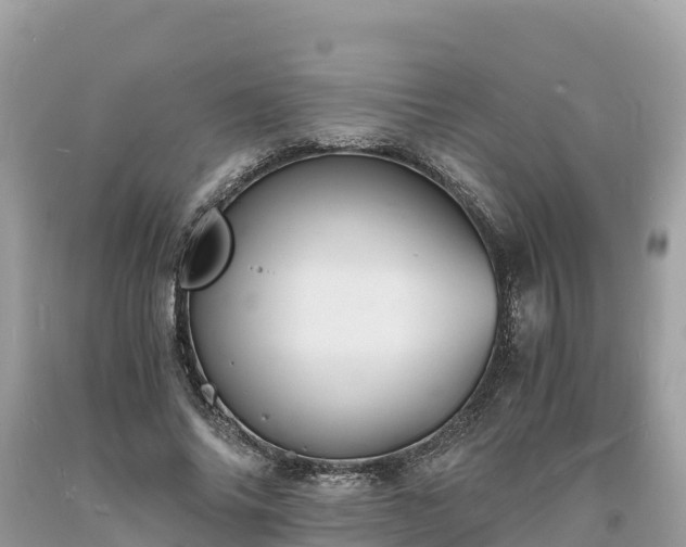 X0000093730686200710231152