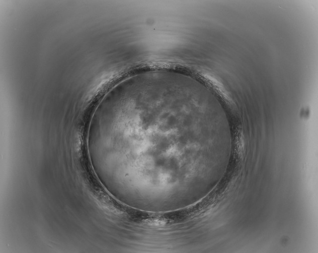 X0000093730687200710231152