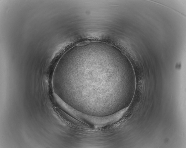 X0000093730688200710231152