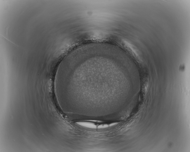 X0000093730689200710231152