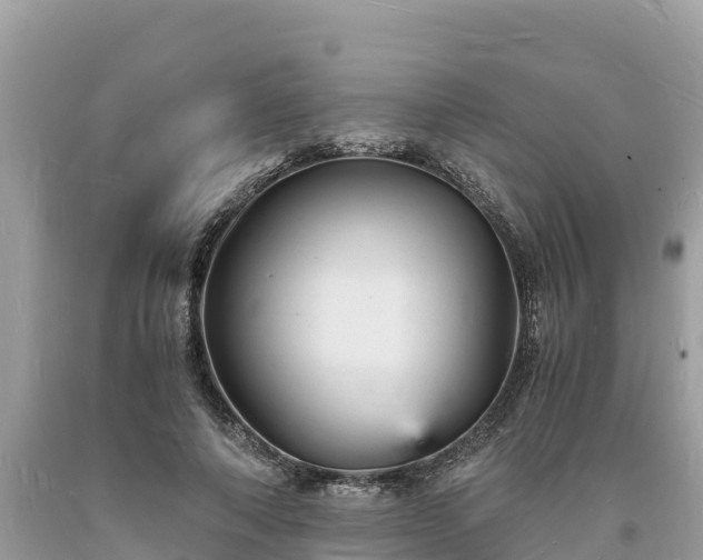 X0000093730690200710231152