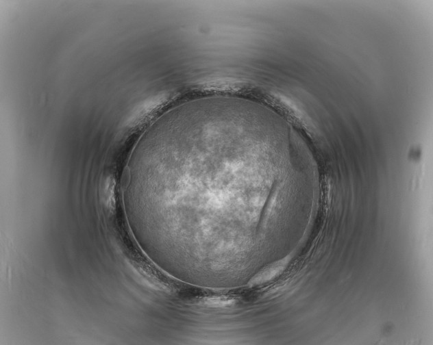 X0000093730692200710231152