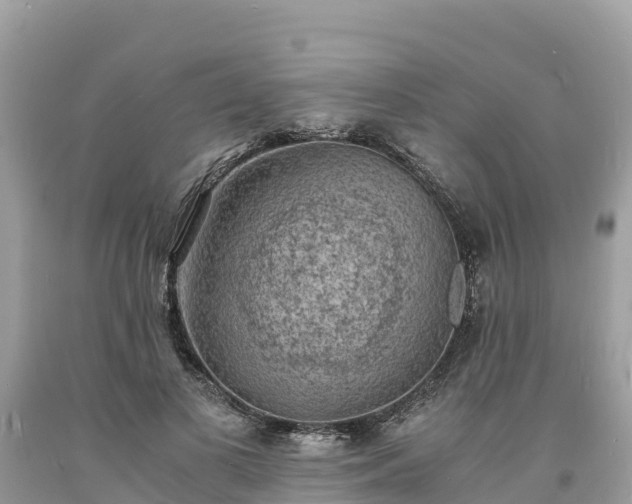 X0000093730693200710231152