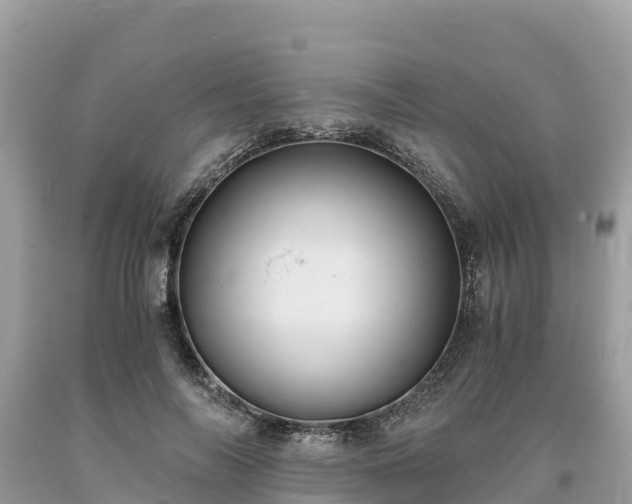 X0000093730694200710231152