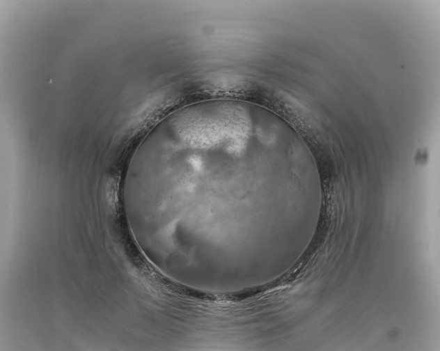 X0000093730695200710231152