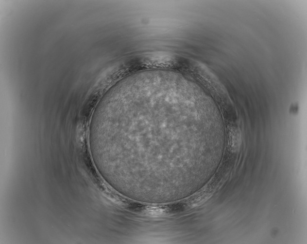 X0000093730701200710231152
