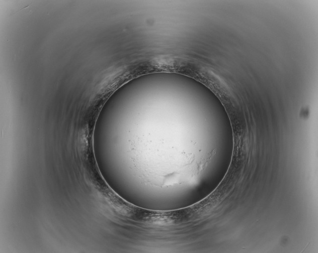 X0000093730702200710231152