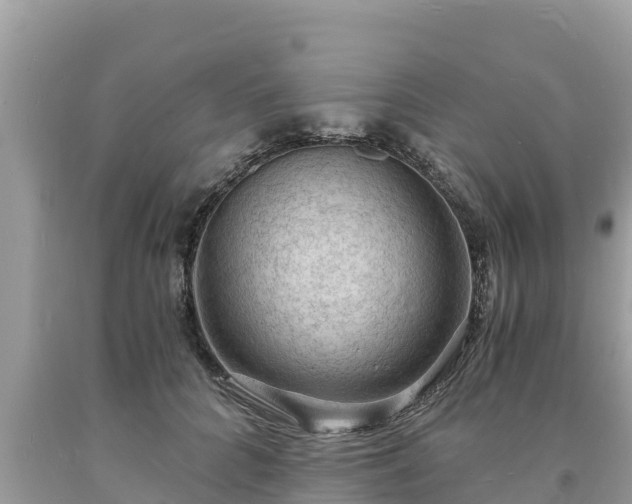 X0000093730704200710231152
