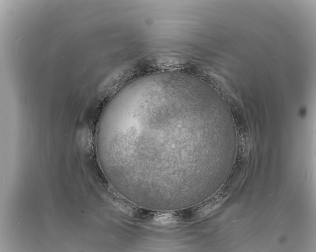 X0000093730705200710231152