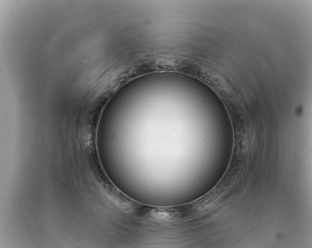 X0000093730706200710231152