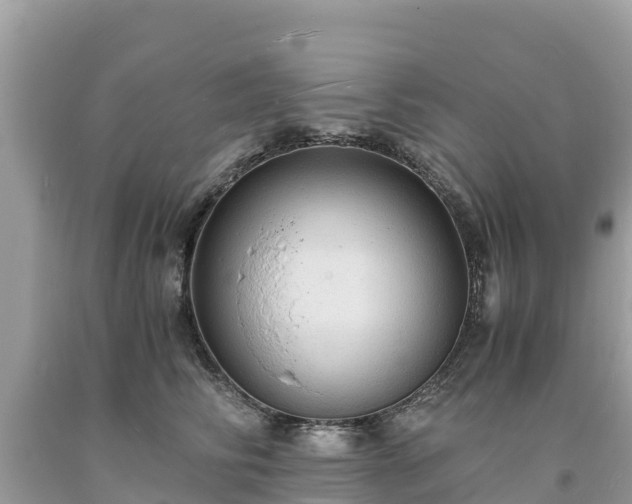 X0000093730710200710231152