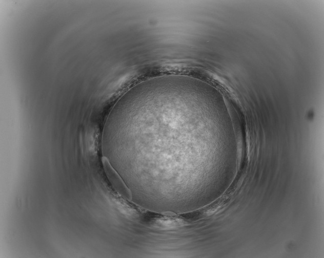 X0000093730712200710231152