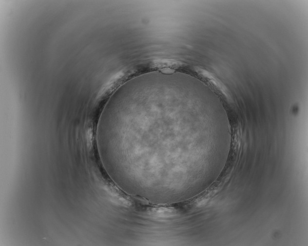 X0000093730716200710231152