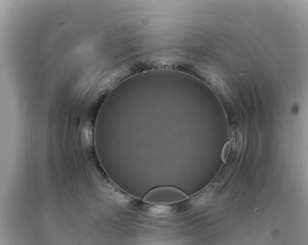 X0000093730718200710231151