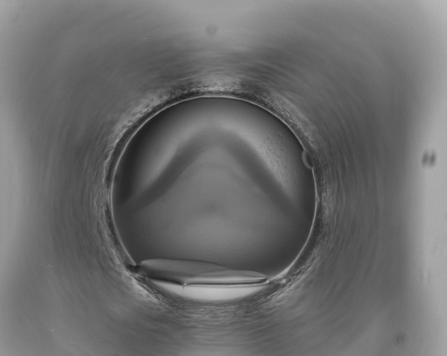 X0000093730721200710231151