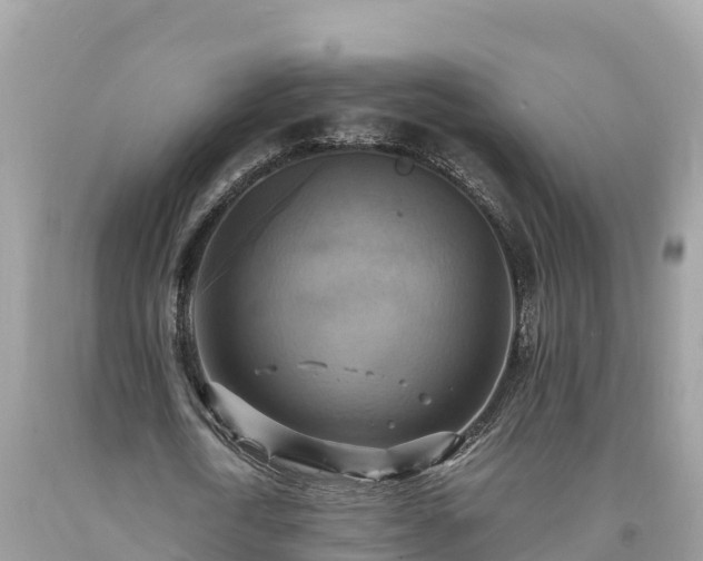 X0000093730722200710231151