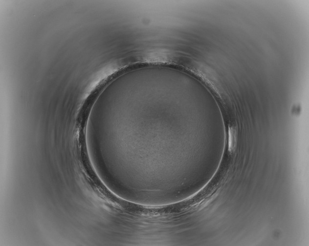 X0000093730723200710231151