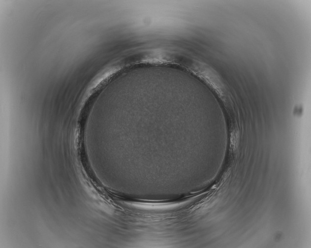 X0000093730724200710231151