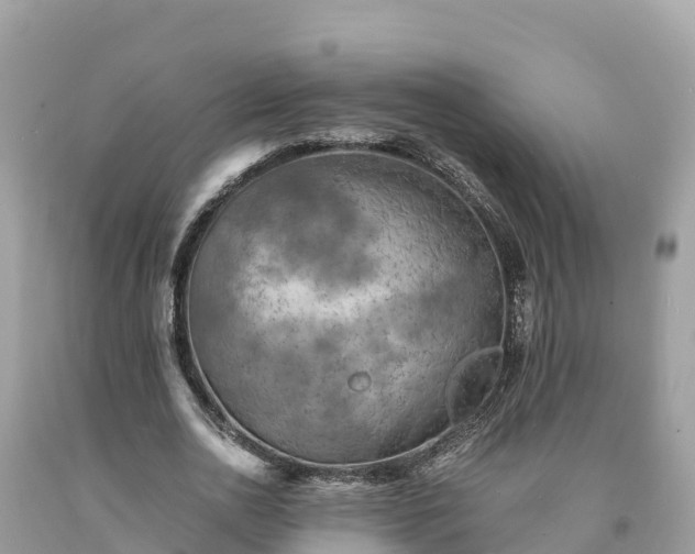 X0000093730726200710231151