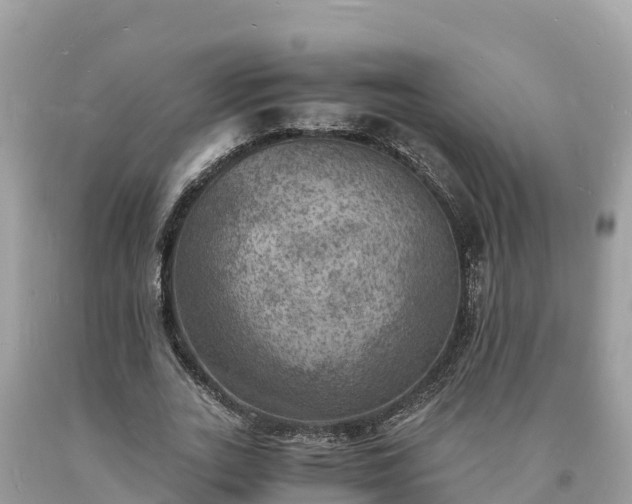 X0000093730727200710231151