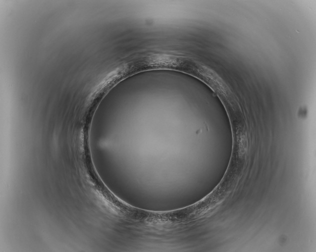X0000093730729200710231151