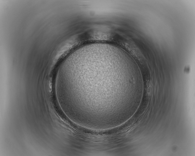 X0000093730731200710231151