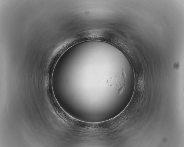 X0000093730732200710231151