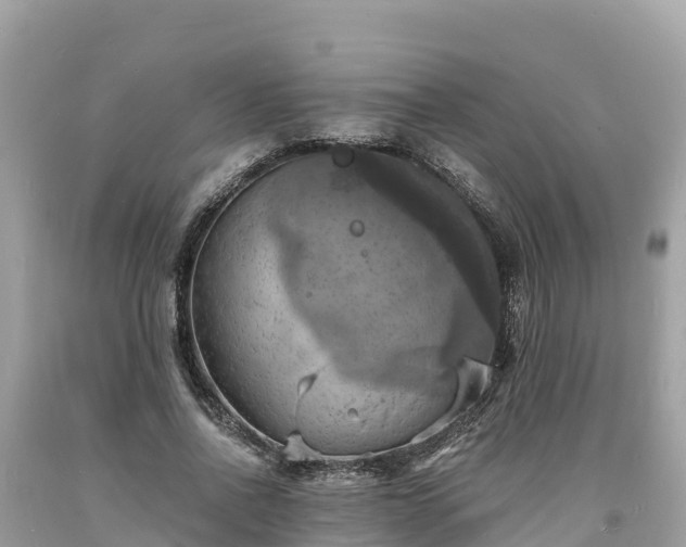 X0000093730734200710231151