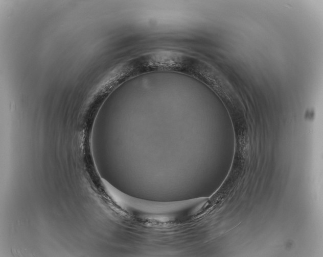 X0000093730735200710231151