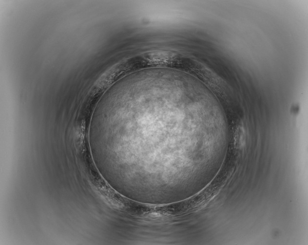 X0000093730737200710231151