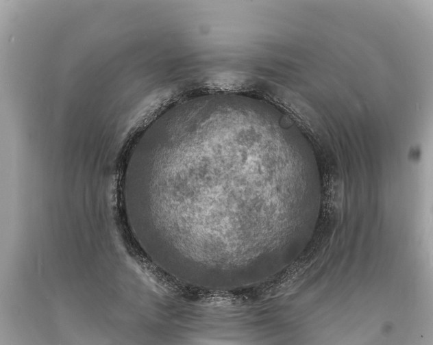 X0000093730738200710231151