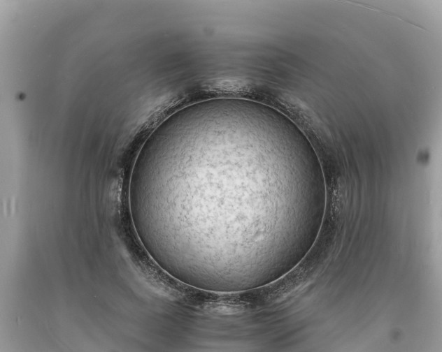 X0000093730739200710231151