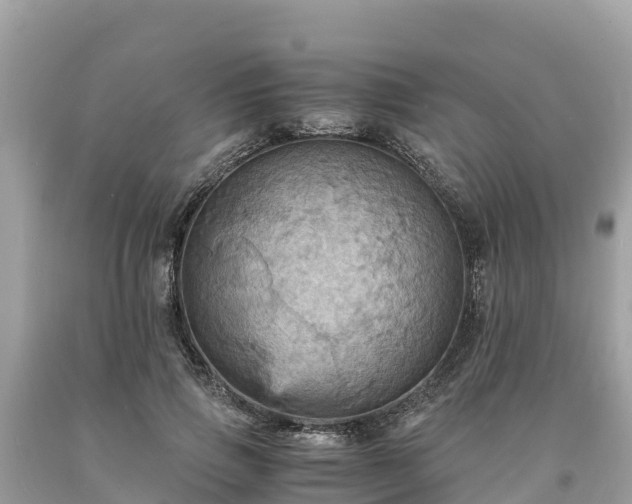 X0000093730741200710231151