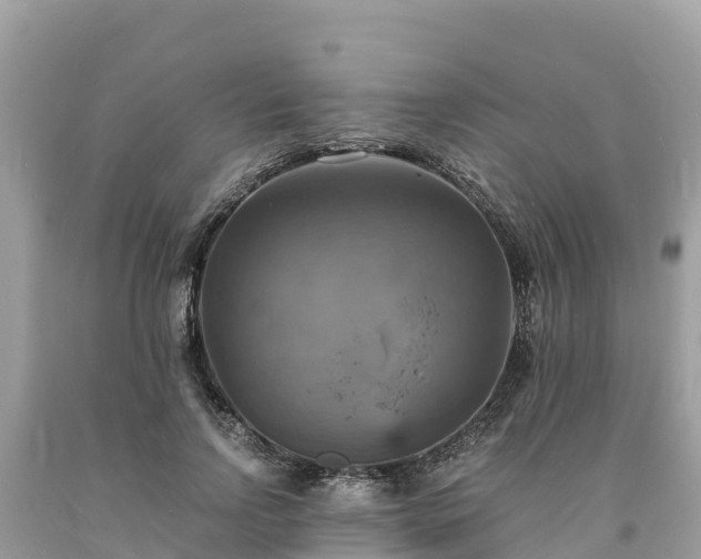 X0000093730742200710231151