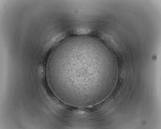 X0000093730743200710231151