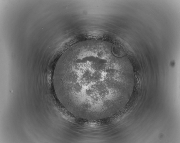 X0000093730745200710231151