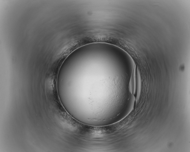 X0000093730746200710231151